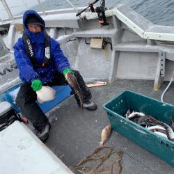 シーランチ 釣果