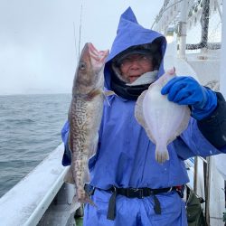 シーランチ 釣果