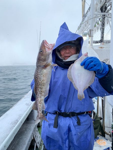 シーランチ 釣果