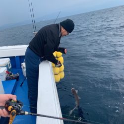 釣鯛洋 釣果
