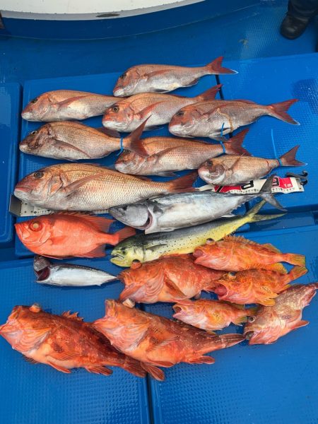 釣鯛洋 釣果
