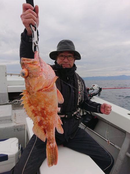 エンペラー 釣果