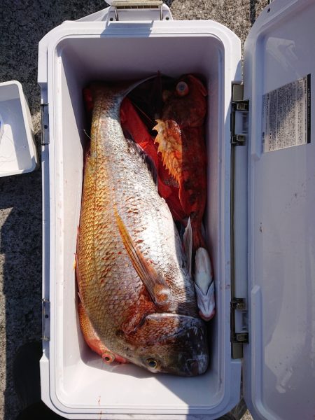 エンペラー 釣果