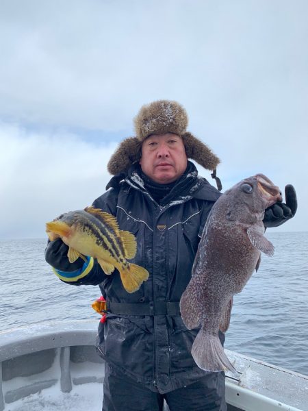 シーランチ 釣果