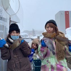 シーランチ 釣果