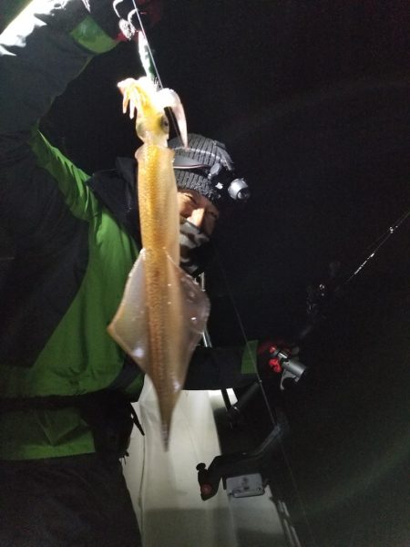 アマテラス 釣果