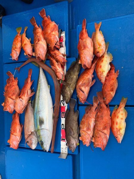 釣鯛洋 釣果