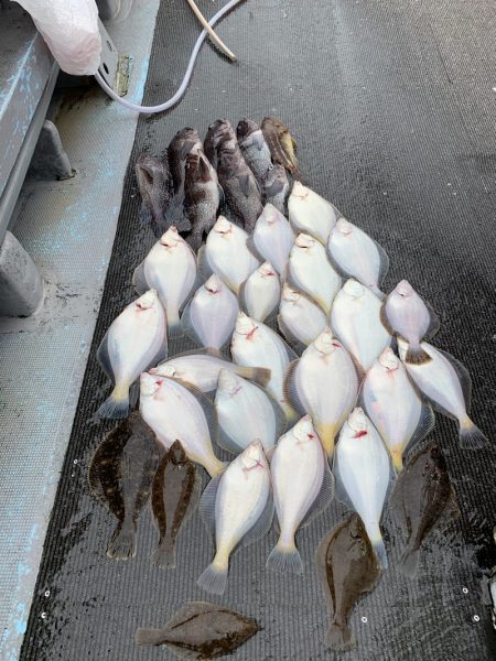 シーランチ 釣果