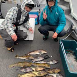 シーランチ 釣果