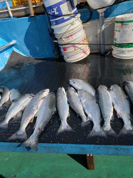 芳陽丸 釣果
