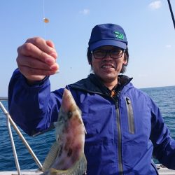 ブルースフィッシングサービス 釣果