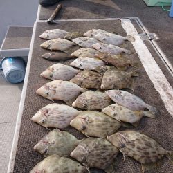 ブルースフィッシングサービス 釣果