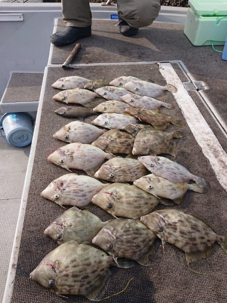 ブルースフィッシングサービス 釣果