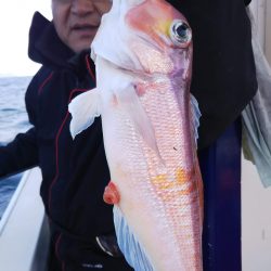 光生丸 釣果