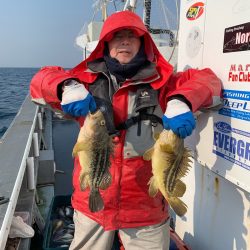 シーランチ 釣果