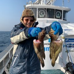 シーランチ 釣果
