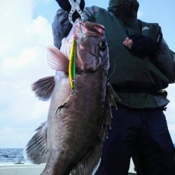 光生丸 釣果