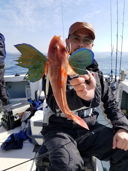 アマテラス 釣果