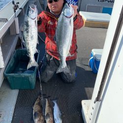 シーランチ 釣果