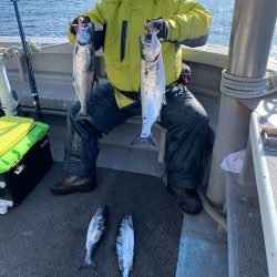 シーランチ 釣果