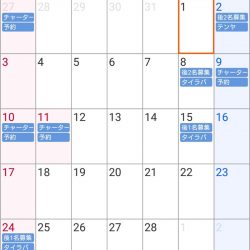 遊漁船　家入 釣果