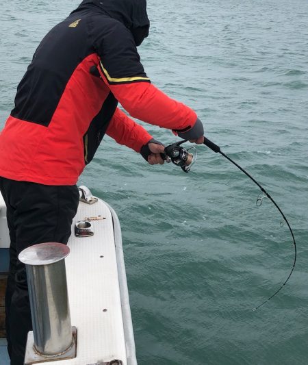 あみや渡船 JIGBOY 釣果