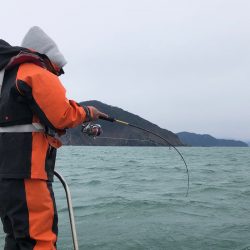 あみや渡船 JIGBOY 釣果