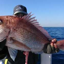 第三共栄丸 釣果