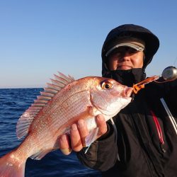 だて丸 釣果