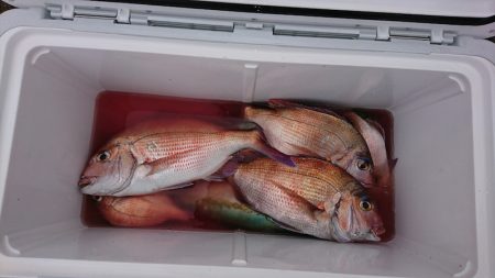 第三共栄丸 釣果