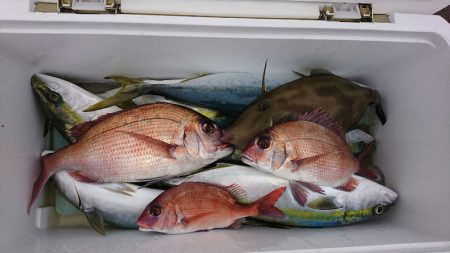 第三共栄丸 釣果