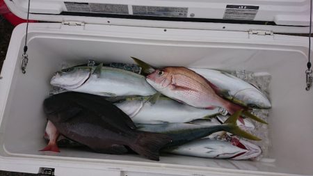 第三共栄丸 釣果