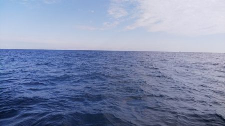 第二龍勢丸 釣果