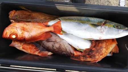 第二龍勢丸 釣果