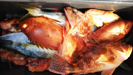 第二龍勢丸 釣果