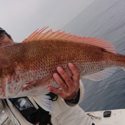 海皇丸 釣果
