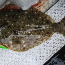 第二龍勢丸 釣果