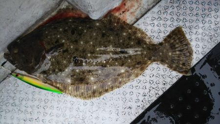 第二龍勢丸 釣果