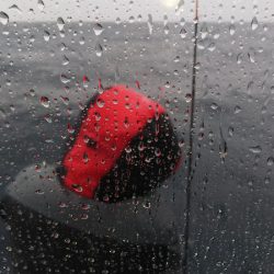 第二龍勢丸 釣果