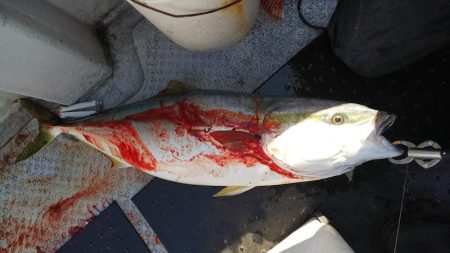 第二龍勢丸 釣果