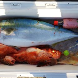 第二龍勢丸 釣果