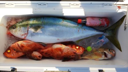 第二龍勢丸 釣果