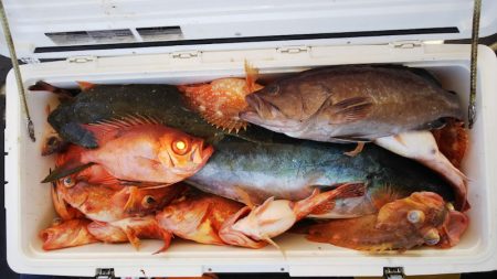 第二龍勢丸 釣果