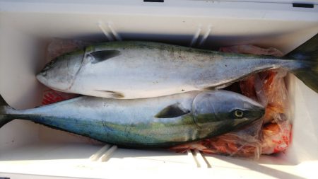 第二龍勢丸 釣果