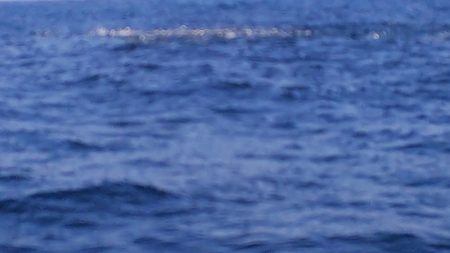 第二龍勢丸 釣果