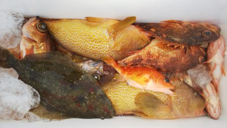 第二龍勢丸 釣果