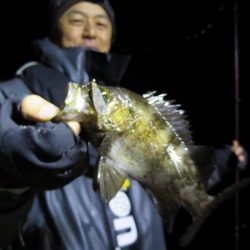 Chase(チェイス) 釣果