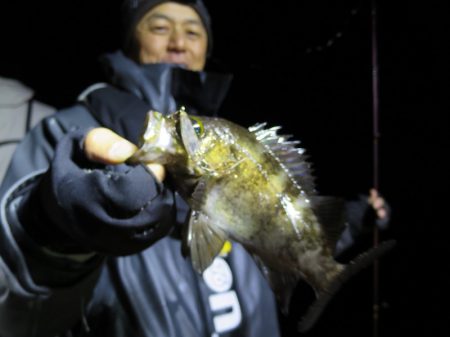 Chase(チェイス) 釣果