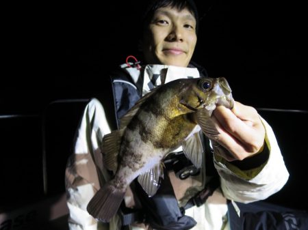 Chase(チェイス) 釣果