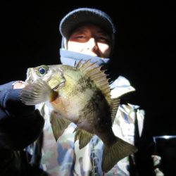 Chase(チェイス) 釣果